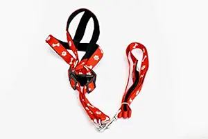 Dogista Pet Products YM-2301 Pet Harnesses, Medium, 5.5 Feet