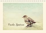 Freche Spatzen (Tischkalender 2019 DIN A5 quer): Spatzen humorvoll präsentiert (Monatskalender, 14 Seiten ) (CALVENDO Tiere) by