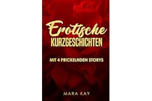 4 erotische Kurzgeschichten: Sexgeschichten ab 18 unzensiert