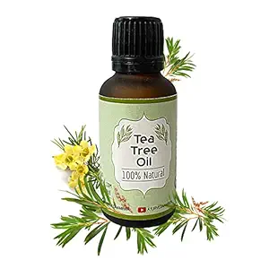 Ayurveda Amrita 100% Natural, Pure & Undiluted Tea Tree Essential Oil for Hair, Skin, Face, Acne & Anti-Dandruff 30 Ml