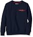 TOMMY HILFIGER KIDS Boys' Quint CN Hwk L/S Sweater, Black, 14