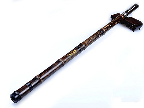 Quality Carved Purple Bamboo Flute Xiao Instrument Chinese Shakuhachi 2 Sections