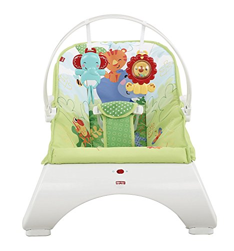 fisher price rainforest friends bouncer