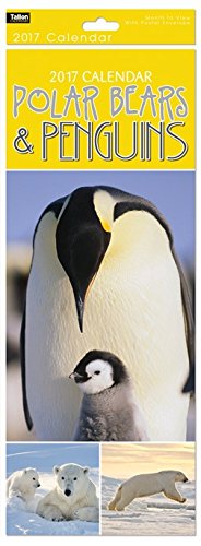 Download 2017 Slim Month To View Spiral Bound Photo Wall Calendar - Polar Bears & Penguins