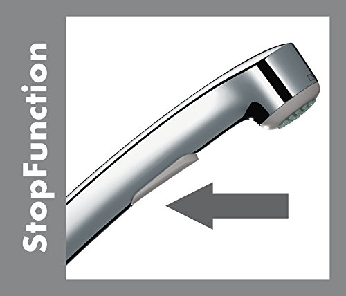 Hansgrohe Handbrause für Bidets, verchromt - 7