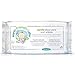 (10 PACK) - Earth Friendly Baby - Gentle Aloe Vera Wet Wipes | 72wipes | 10 PACK BUNDLE