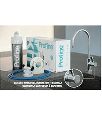 Filtro Profine Silver Small - Ricambio Per Depurazione Acqua - Foto 5