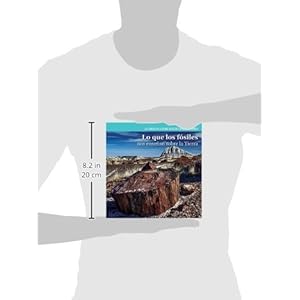 Lo Que Los Fosiles Nos Ensenan Sobre La Tierra (Investigating Fossils) (Ciencias de la Tierra: Detectives de Nuestro Planeta (Earth)