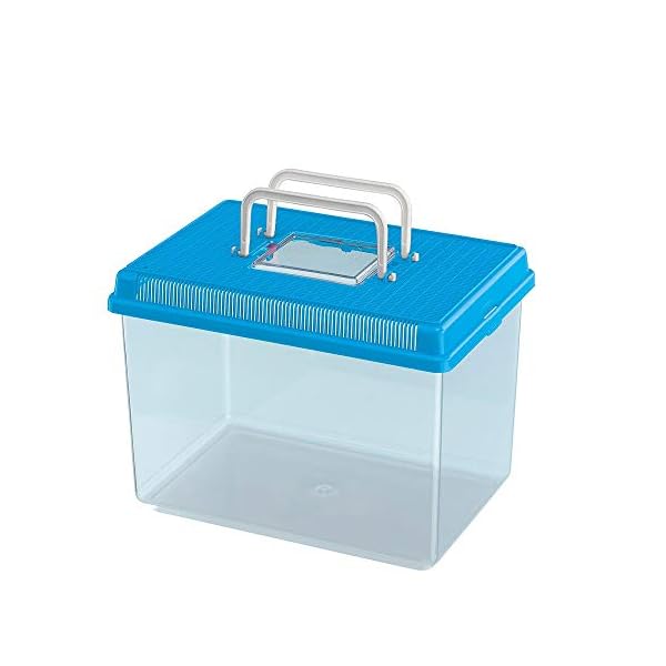 Ferplast Contenitore per Pesci Geo Large Vasca Acquario 6 L per Piccoli Animali Terrario Insetti Tartarughe, Robusta…