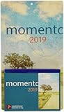 momento 2019 - Abreißkalender: Abreißkalender - Block mit 384 Blättern und Rückwand, zum Aufstellen oder Aufhängen by 