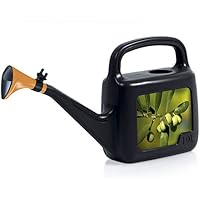 Platillos para plantas | Amazon.es
