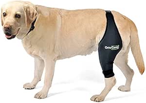 Ortocanis Original Knee Brace For Dogs With Acl Knee Cap Dislocation Arthritis Keeps The Joint Warm Reduces Pain And Inflammation 9 Sizes For Left Or Right Leg Xs