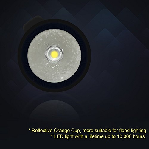 Diateklity kleine LED Mini-Taschenlampe 100Lumen CREE XPE2-LED R3 – wasserdicht(Farbe: Schwarz, Lange: 15cm, Durchmesser:2,5cm) - 4