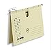 Produktbild ELBA Hängehefter chic/85802CH, chamois, Karton (RC), A4, Inh. 5