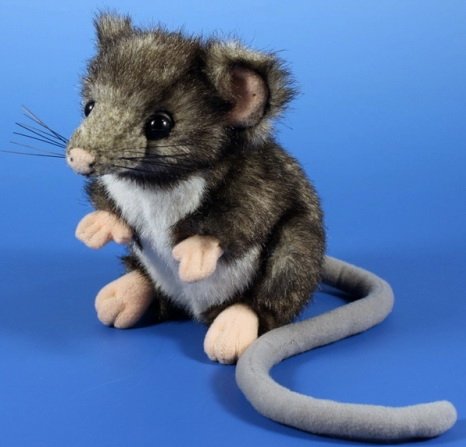 Preisvergleich Produktbild SEMO Plüschtier MS-06SK003 - Opossum (Beutelratte)