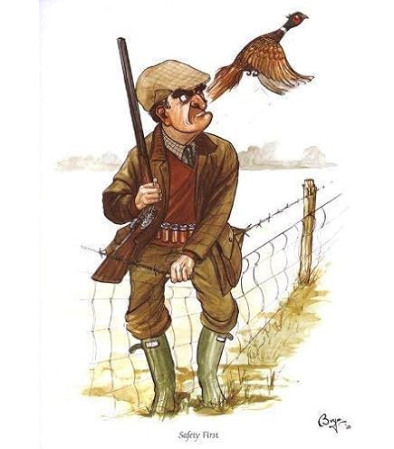 10 Aufstellkarten Mit Umschlägen – 'Brigadier Cartoon Fasane' Von Bryn Parry, A6, Blanko Für Persönliche Notizen