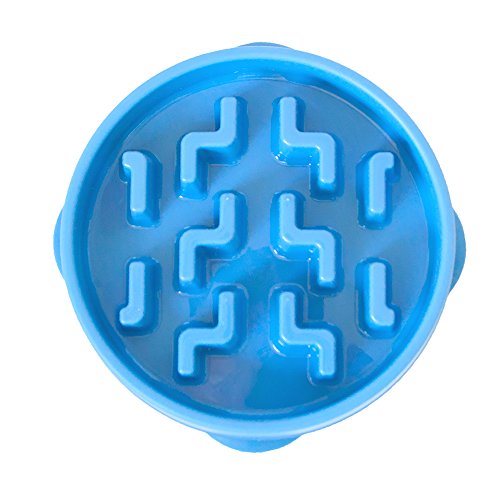 Outward Hound Comedero Lento para Perros Slo Bowl Gota Cerceta 1578 Plástico