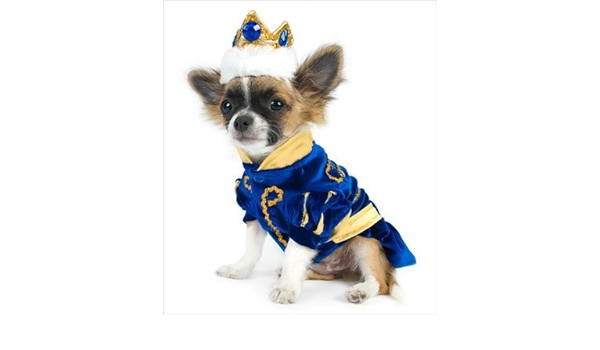 pitbull weight pulling