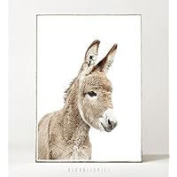 Kunstdruck / Poster DONKEY -ungerahmt- Portrait, Esel, Tier, Farmtier, Landleben, Kinderzimmer, Bild