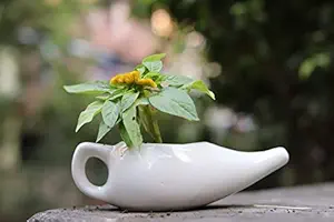 Lyallpur Stores Ceramic Planter Pot Chirag Shape - Medium (White Color, 5 cm) Plant Not Included