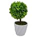 Thefancymart small artificial Bonsai tree with White Round pot for decoration RS.375.00