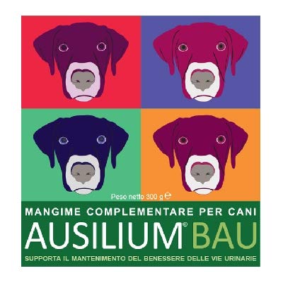 DEAKOS Ausilium BAU - Tarro de 300 g - Complemento alimenticio para cistitis e infecciones a Las vías urinarias - con D-mannosio