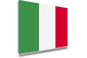 ‎TRIOSK TRIOSK Kühlschrankmagnete Länderflaggen Magnet Flagge Italien Länder Reise Souvenir Geschenk für Reiselustige Frauen Männer Weltenbummler Kühlschrank stark eckig groß 85x55 mm