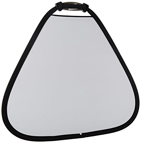 Imagen 1 de Lastolite LL LR3631