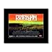 Produktbild PEARL JAM - Live at The Gorge Matted Mini Poster - 21x13.5cm