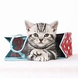Image de Funny Cats 2015 Broschürenkalender