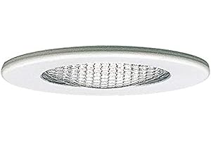 Paulmann 98432 Furniture Recessed Light max 20W 12V G4 66mm White Sheet Steel/Glass