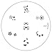 Konad Stamping Nail Art Image Plate M3