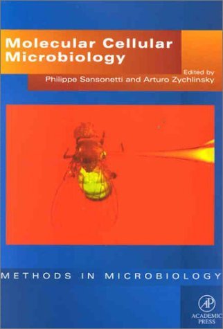 Molecular Cellular Microbiology: Molecular Cellular Microbiology v. 31 (Methods in Microbiology) (2002-02-07) francais Molecular Cellular Microbiology: Molecular Cellular Microbiology v. 31 (Methods in Microbiology) (2002-02-07) francais