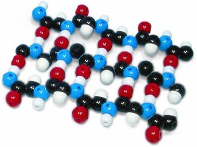 Molymod W19752 105 Piece Protein Beta-Pleated Sheet Molecular Model Kit