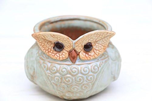 UName Micro Landscape Succulent Plants Creative Flower Planters, Mini Plants Pot, Ceramics Decoration, Handmade, Small Plant Containers, Owl Design Succulent Planter.(leaf eye),UK234
