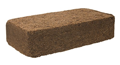 Torf Ersatz 10 x 650g = 90 L Kokoserde Blumenerde ungedüngt & torffrei – Pflanzerde für Obst, Gemüse, Zierpflanzen und Exoten - 2