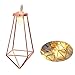 Produktbild AOLVO 40 LED Rose Gold Geometrische Lichterkette, minimalistische Lichterkette Metall LED Laterne für Bistro Pergola Zelte Party Hochzeit Schlafzimmer Urlaub oder Wand Decor, batteriebetrieben, warm weiß 13 ft/4 M
