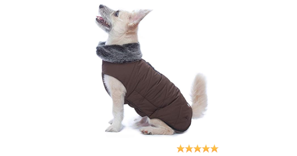 kitten keeps peeing in same spot