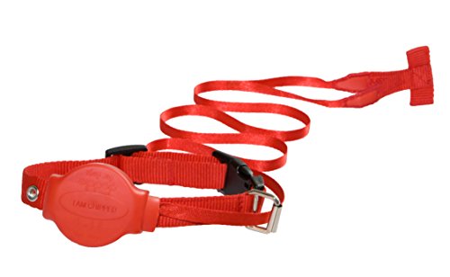 Doddle-Collar-A-Dog-Collar-with-a-built-in-lead-A-revolutionary-dog-collar-that-features-a-built-in-1m-retractable-lead-with-a-looped-handle-to-ensure-safe-control-of-your-dog-at-all-times-So-light-we