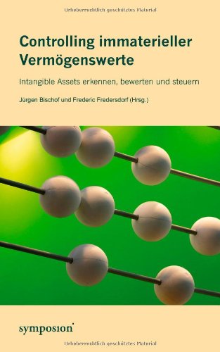 Controlling immaterieller Vermögenswerte: Intangible Assets erkennen, bewerten und steuern