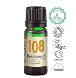 Rosmarin pflanze kaufen Rosmarin pflanze kaufen