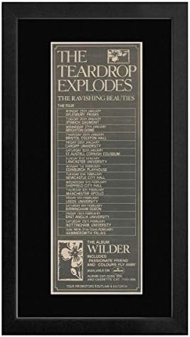 Teardrop Explodes - The Ravishing Beauties 1982 Tour Framed Mini Poster - 55x27.5cm