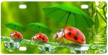 Durable Auto Car Tag for Vehicle Car and Truck Cute Ladybug License Plate 6" X 12"