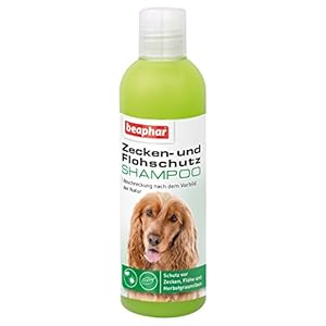 Beaphar garrapatas de & mercadillos – Champú | garrapatas Protección para Perros y Gatos a Partir de 12 Semanas | flohmittel como Champú | Anti garrapatas | 250 ml Botella