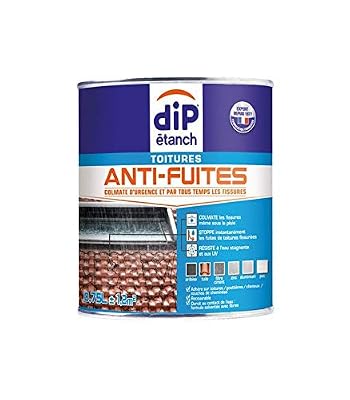 DIP Revêtement d'étanchéité toiture Anti fuites, DIP blanc 0.75 l