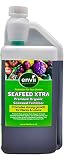 Envii Seafeed Xtra - Fertilisant Liquide Organique Premium et Optimiseur de Croissance (1 Litre et Fondation)