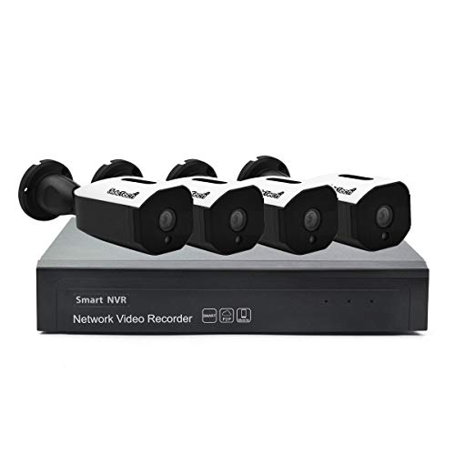 4CH 5MP PoE NVR Sistema de cámara HD y 4pcs 5MP H.265 Cámara de Seguridad para vigilancia en Exteriores, IP66 infrarrojo Impermeable Visión Nocturna