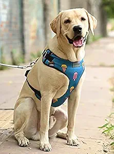 Mutt of Course Pupscicles Harness for Dogs (Large)