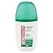 BOROTALCO DEO VAP 75 ORIGINAL C12x36 BIA VERDE