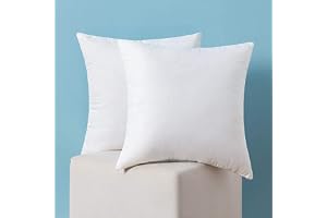 MIULEE Förpackning med 2 innerkuddar, 50 x 50 cm, stora kuddar, 50 x 50 cm, varm och mjuk, vit kudde för dekoration, kuddöverdrag, i säng, soffkudde, inre